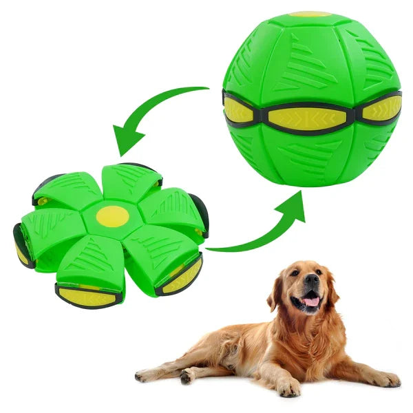 Second item half price🔥Saucer Ball™ Dog Toy