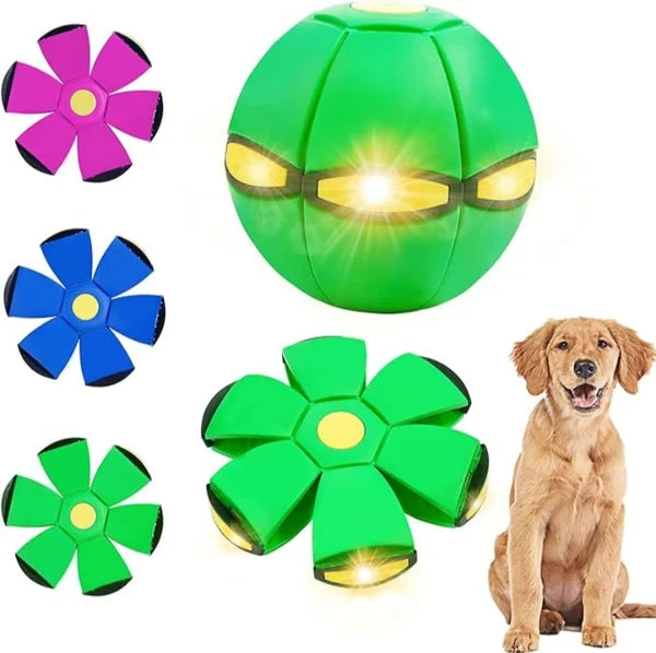 Second item half price🔥Saucer Ball™ Dog Toy